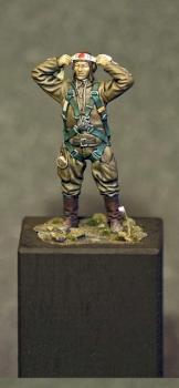 WW2 Imperial Japanese Army Pilot by Ija