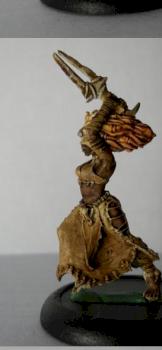 Tharn Bloodweaver Circle of Orboros by Eviltree