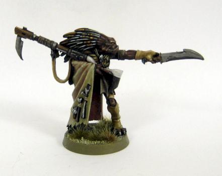 Angor Prok, Kroot Shaper by Chunk