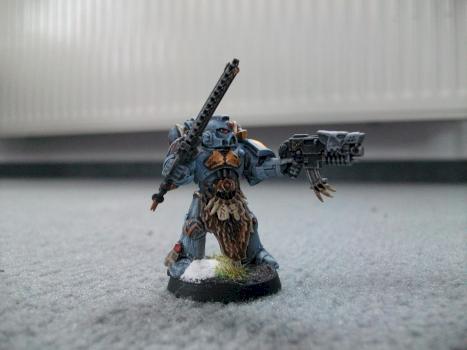 Space Wolves - Troops by Rowhin