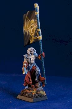 Vampire Hero with Standard by SexRocket