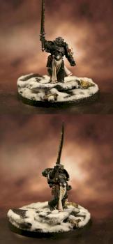 The emperor's champion by Alopex