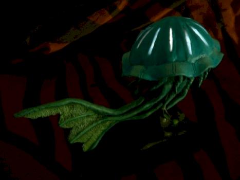 Jellyfish mount by Jalal