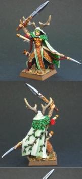 Wood Elf Lord by mattrock