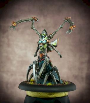 Mortenebra by Z-Wolf