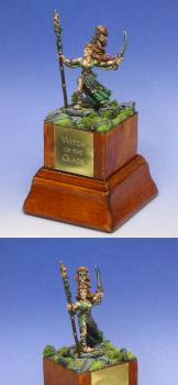 Wood Elf Sorceress by winterdyne