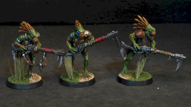 kroot by Jodokast