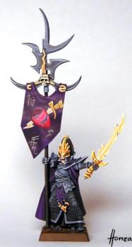 Dark Elves Battle Standard Bearer by Honza