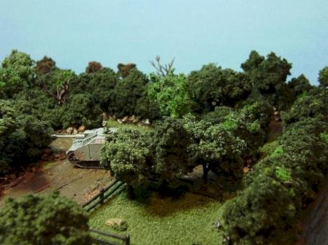 Bocage Country by Shawn Morris