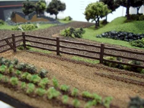 Country Side by Shawn Morris