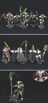 Necron dynasty, Menotekh auxiliary union by Shi Vral