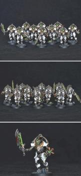 Necron praetorians by Shi Vral