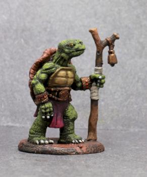 Dark Sword Turtle Druid by superbug983