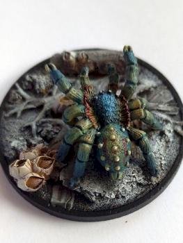 Spider by Zorana