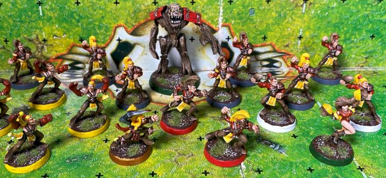 Wood Elf Team Blood Bowl by Slup
