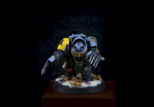 Space Wolf Terminator by tedkoob