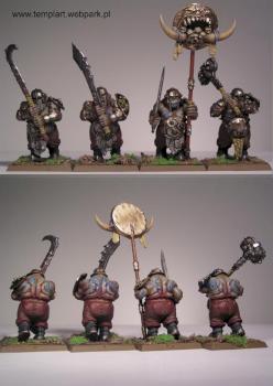 Ogre Ironguts by templart