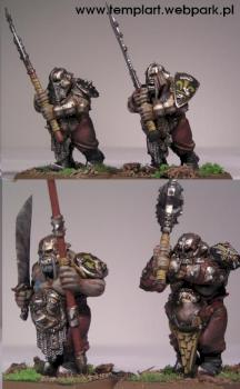 Ogre ironguts 2 by templart