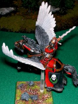 Pegasus Captain (side) by Sariel