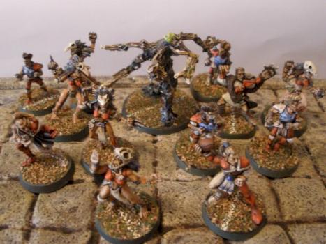 Blood Bowl Elf Team by Rolius1978