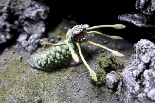 carrion crawler by jdmoyer