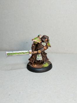 Privateer Press Hordes Circle Baldur The Stone Cleaver Kit by crazythomas