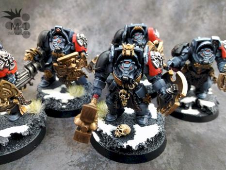 Wolf Guard Terminators by malinek28