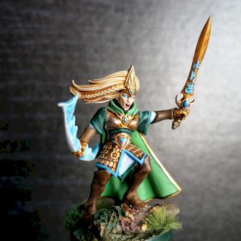 Commander of the Watch by darcybono