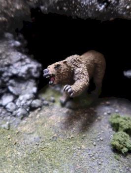 dire bear by jdmoyer