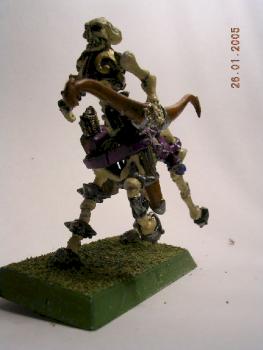 cavalier squelette by binouze