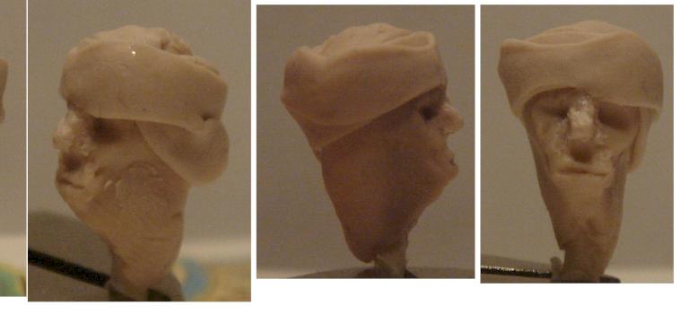 My first sculpting about head. by xzxzzx