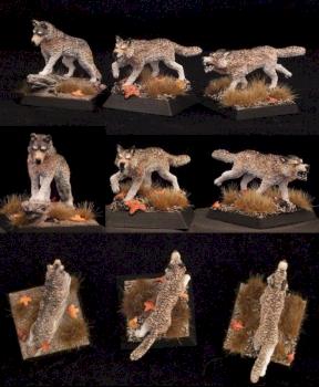 Wolf Pack by Neatpete