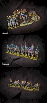 High Elves army (part 1) by Gruumsh