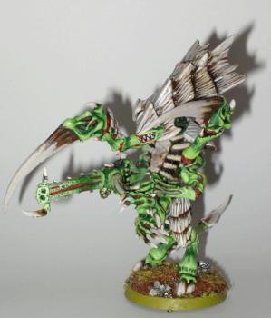 Dominator by Re Borio