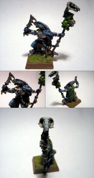 Skinks Schamane II by gorn