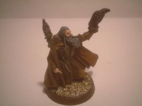 Radagast by Pierre1974