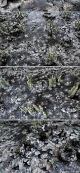 complete WINTER MODULAR 72x48 GAMEBOARD WIP details by studiolevel