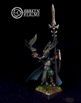 Wood Elves Araloth by Awaken Realms