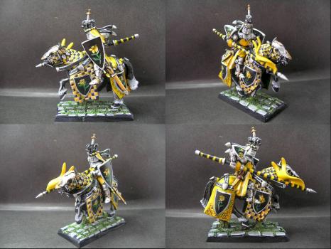 Warhammer Bretonnian Knight of Yellow Roses by tinman755