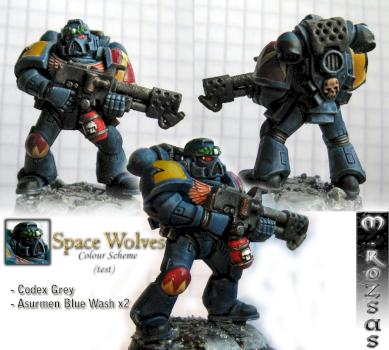 Space Wolves Clour Scheme Test by R3app3r