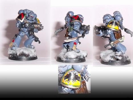 Grey Hunter/Wolf Guard Test model by Razielus