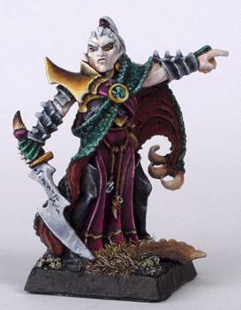 Dark Elf crosair champion by Ninnu