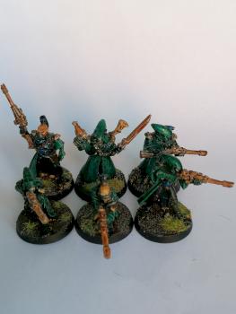 Eldar Rangers by Candlewhisper