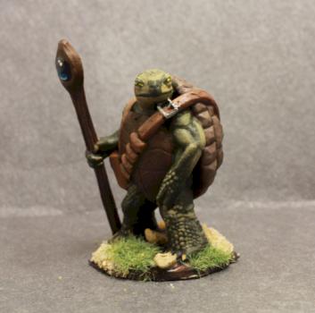 Dungeon and DRagon Turtle Cleric by superbug983