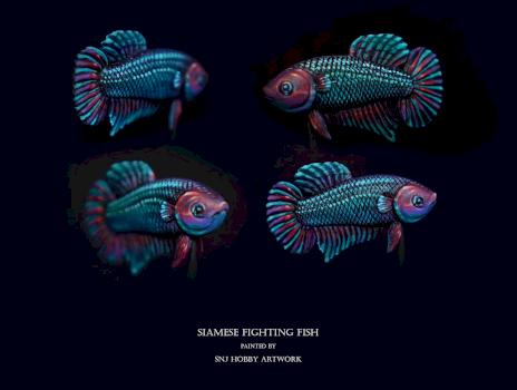 Siamese Fighting fish by SNJ Hobby Artwork