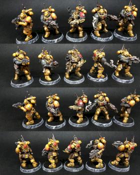 Imperial Fist Infiltrators by regis