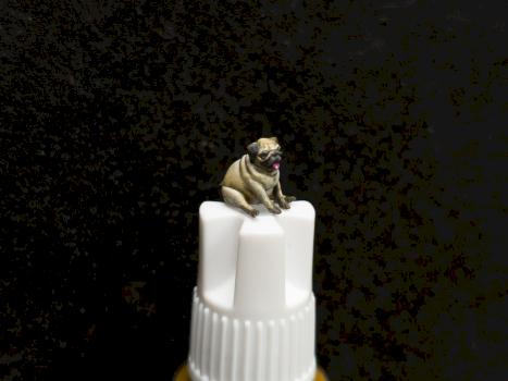 A little pug by pantxo