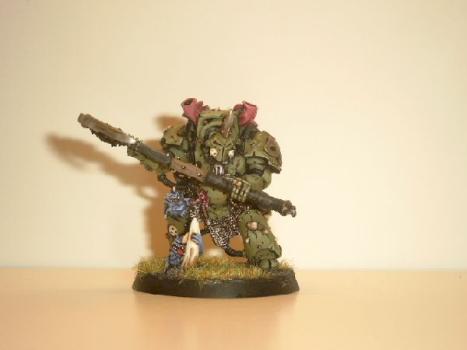 Typhus by generation end