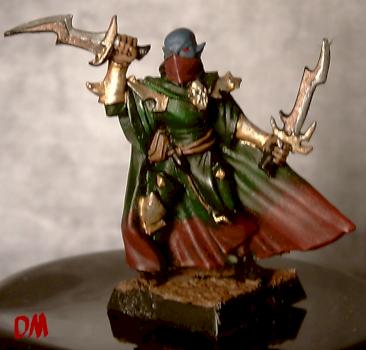 Dark Elf Assassin by DarkMaster