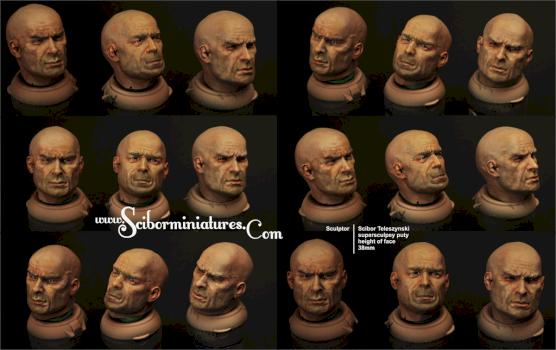 Painted heads 38mm by Scibor